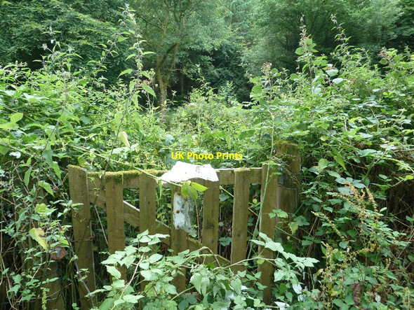 Photo 6"x4" The padlocked gate to Trellech blast furnace Cotland\/SO5004 c2010