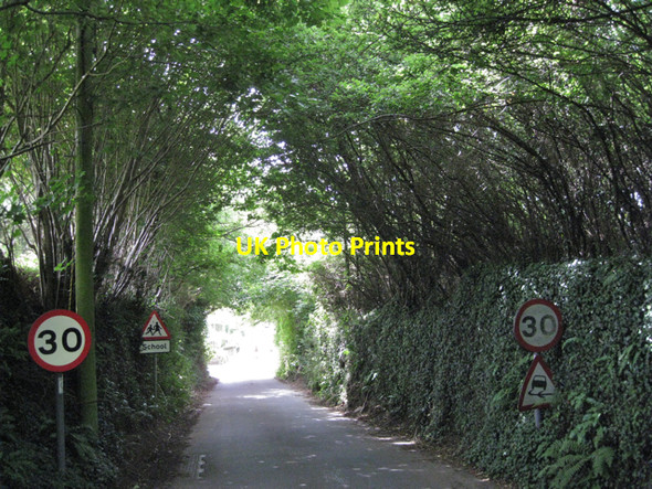 Photo 6"x4" Old Road nearing Harbertonford Harbertonford c2010