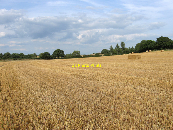 Photo 6"x4" Ballards Down Selmeston c2010
