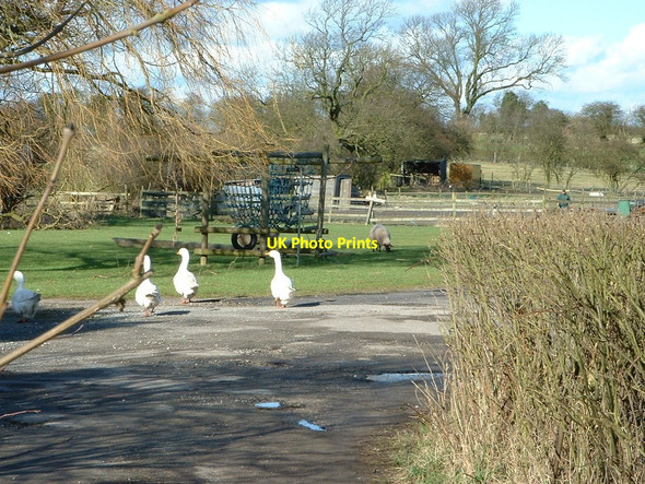 Photo 6"x4" Grazers, Green Man pub, Hixon, Staffordshire Hixon c2003