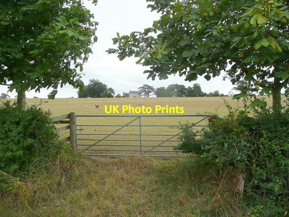 Photo 6"x4" View to The Hill Gadfield Elm c2010
