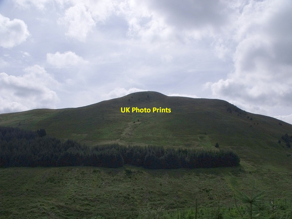Photo 6"x4" Band of Sitka on Meikle Bin Little Bin\/NS6782 c2010