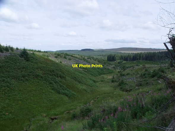 Photo 6"x4" Little valley of the Bin Burn Little Bin\/NS6782 c2010
