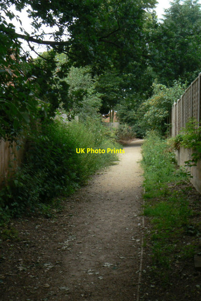 Photo 6"x4" Footpath near Bestwood Lodge Bestwood c2010