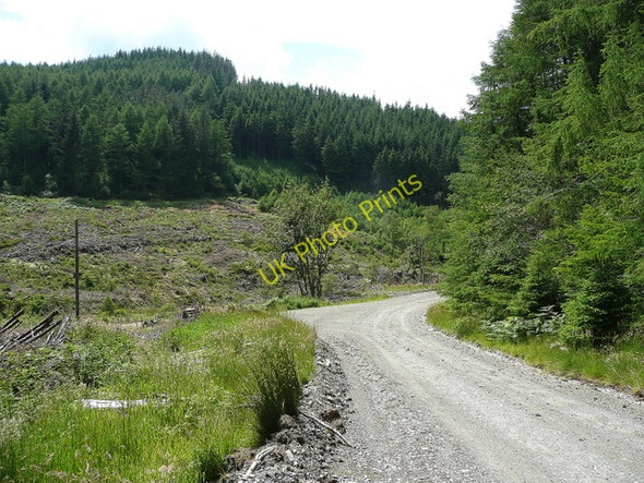 Photo 6"x4" Forest roads Penllyn Forest c2009