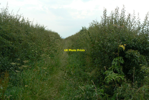 Photo 6"x4" Footpath to Arnold Arnold\/SK5945 c2010