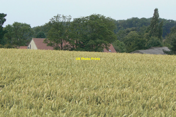 Photo 6"x4" Stockings Farm Arnold\/SK5945 c2010
