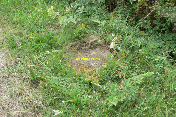 Photo 6"x4" Thrumpton C1SK5130 Thrumpton\/SK5031 c2010