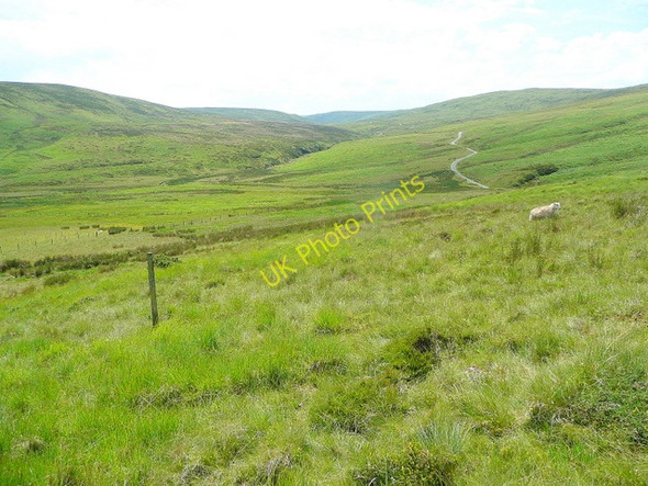 Photo 6"x4" Waun y Gadfa Eunant Fawr c2009
