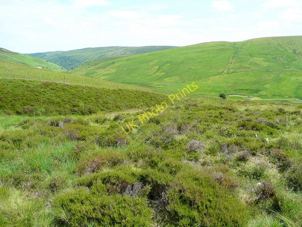 Photo 6"x4" Eunant Fawr 2 Eunant Fawr c2009