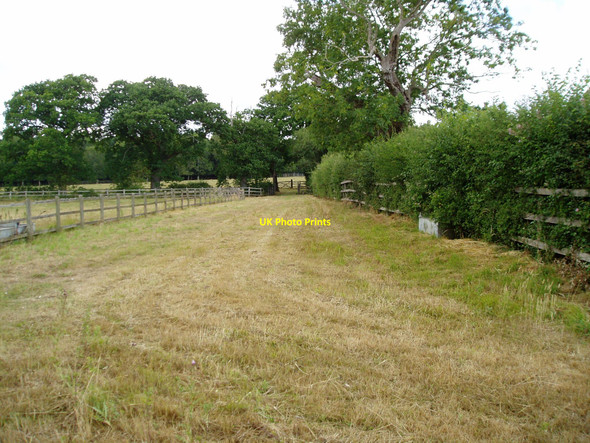 Photo 6"x4" Footpath to The Dover Hammerpot c2010