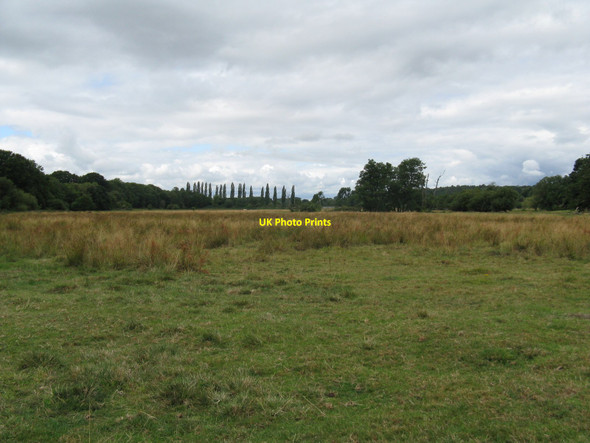 Photo 6"x4" West across water meadows to Fittleworth bridge Lower Horncroft c2010