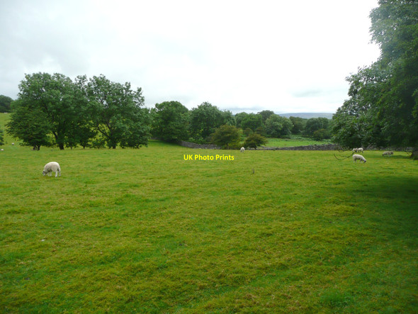 Photo 6"x4" Pasture in Feizor Wood Town Head\/SD7768 c2010