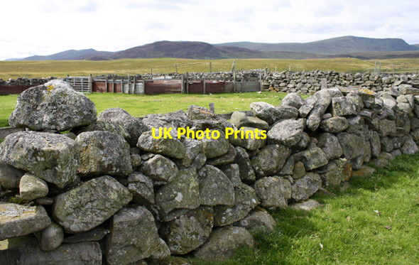 Photo 6"x4" Sheep fank north of Strone Strone\/NH7100 c2010