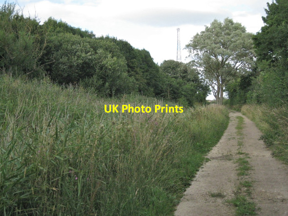 Photo 6"x4" Bridleway southeast of Oldbury power station Shepperdine c2010