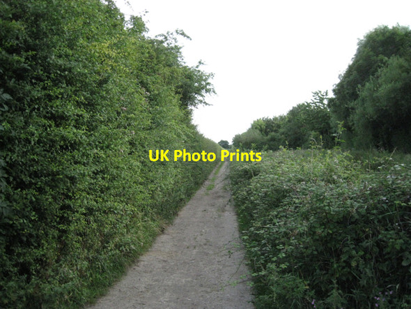 Photo 6"x4" Bridleway east of Oldbury power station Shepperdine c2010