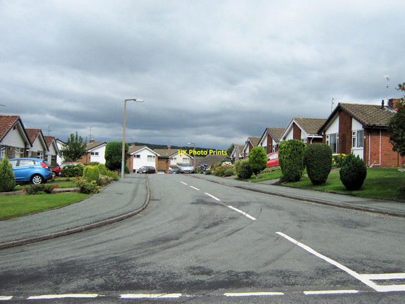 Photo 6"x4" Dove Grove Biddulph c2010