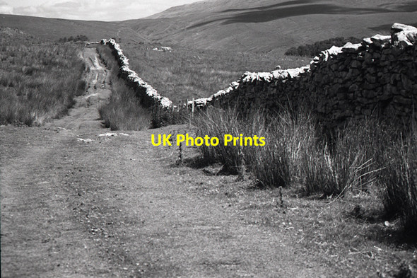 Photo 6"x4" The Turbary Road, Kingsdale Jingling Pot c2003