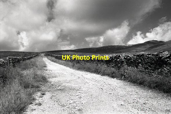Photo 6"x4" The Turbary road, Kingsdale Masongill c2003