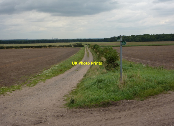Photo 6"x4" Track across open countryside Worksop c2010