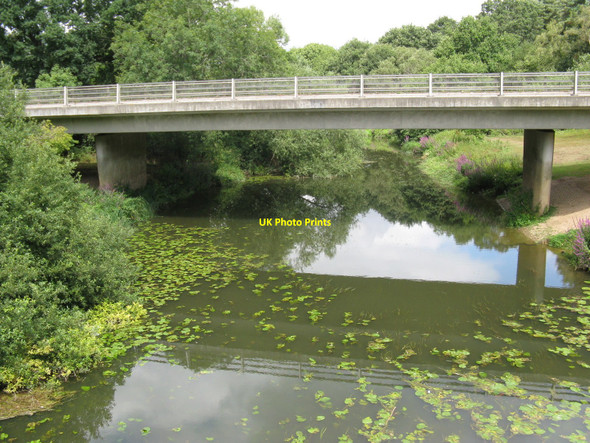 Photo 6"x4" Lily laden River Arun beneath the new Stopham Bridge Stopham c2010