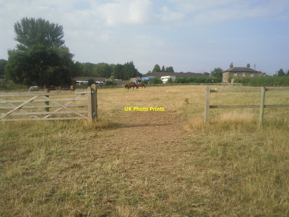 Photo 6"x4" Little Mascal Farm, North Cray Crayford\/TQ5174 c2010