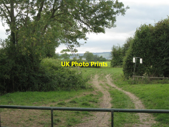Photo 6"x4" Track towards the Severn Shepperdine c2010