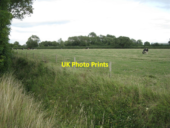 Photo 6"x4" Rhine by Shepperdine Road Nupdown c2010