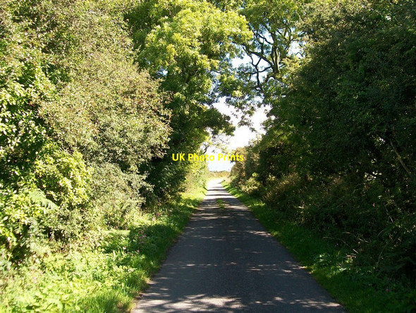 Photo 6"x4" The Dinas road south of Bryn Odol Dinas\/SH2636 c2010