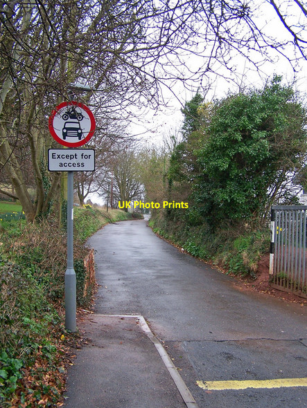 Photo 6"x4" Steps Lane Watcombe Torquay c2010