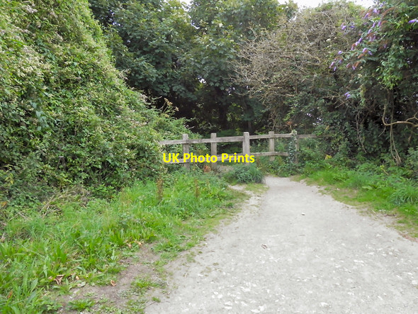 Photo 6"x4" Pendennis Head Falmouth c2010 P1