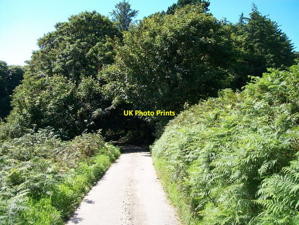 Photo 6"x4" The road from Nant yr Hen Lyn Bryn-mawr\/SH2433 c2010