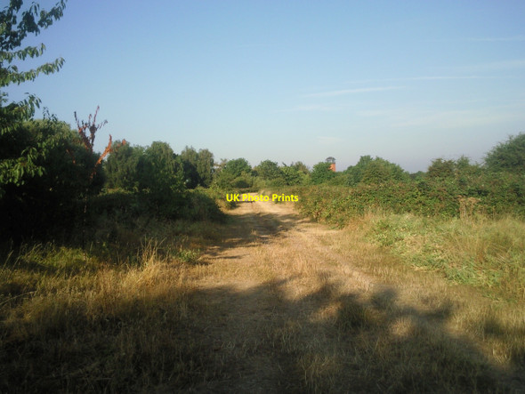 Photo 6"x4" Early morning on Woolwich Common Eltham c2010