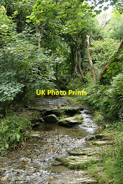 Photo 6"x4" Tintagel: stream in Rocky Valley Trethevy\/SX0789 c2010