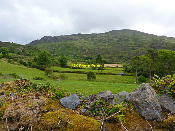 Photo 6"x4" Farmland, Shehy Mountains Ballingeary c2010