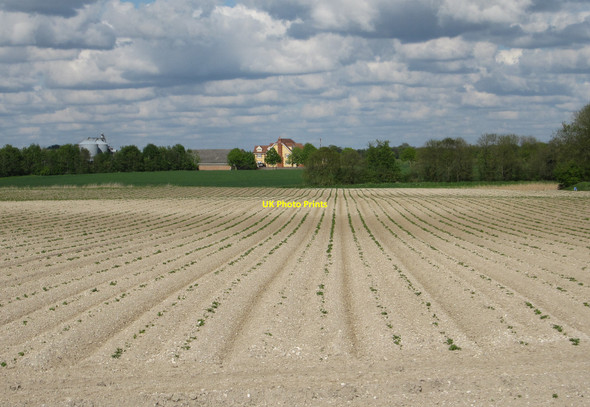 Photo 6"x4" Lee Farm from Beck Road Freckenham c2010