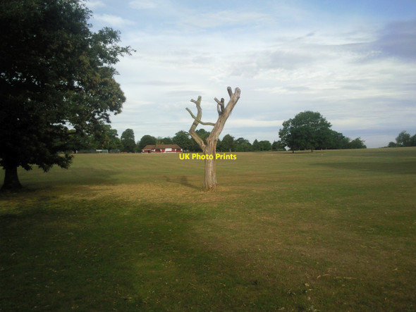 Photo 6"x4" Eltham Park South Eltham c2010