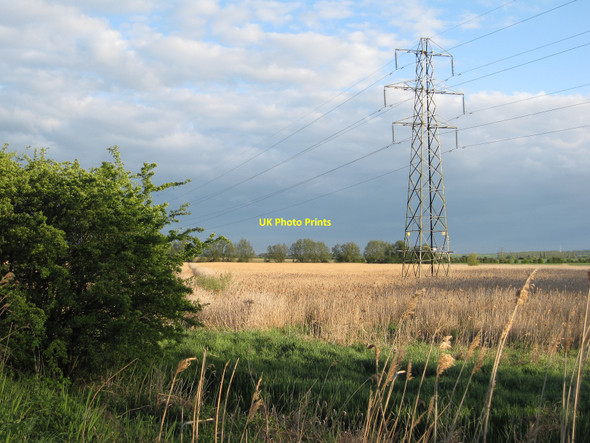 Photo 6"x4" Teversham Fen Stow cum Quy c2010