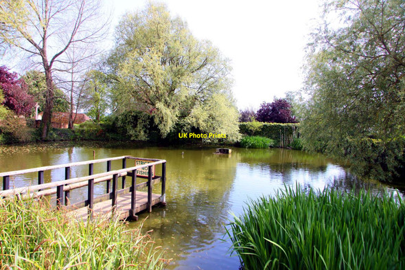 Photo 6"x4" The Carp Pond at Arreton Arreton c2010