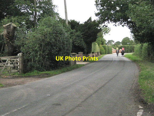 Photo 6"x4" Riding horses, Fen End Road Fen End\/SP2275 c2010