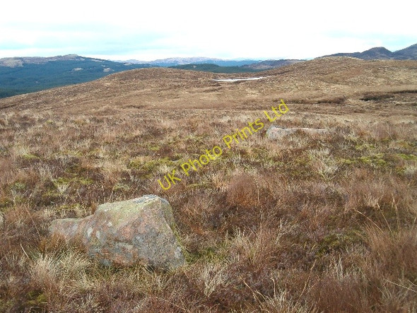 Photo 6"x4" Moorland hilltop Goatfield c2006
