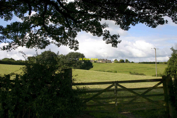 Photo 6"x4" View of cottages on Street from Lea Brooke Cortworth c2010