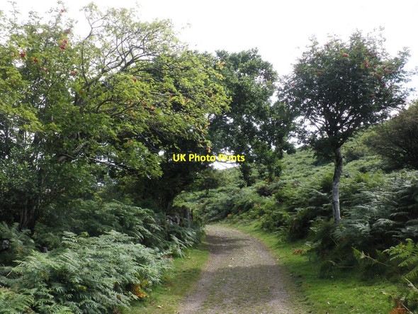 Photo 6"x4" Bridleway, below Black Hill Water\/SX7580 c2010