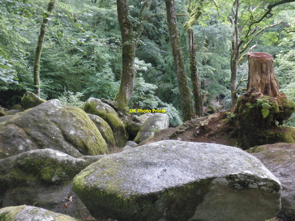 Photo 6"x4" Boulders, above Becky Falls Lustleigh Cleave c2010