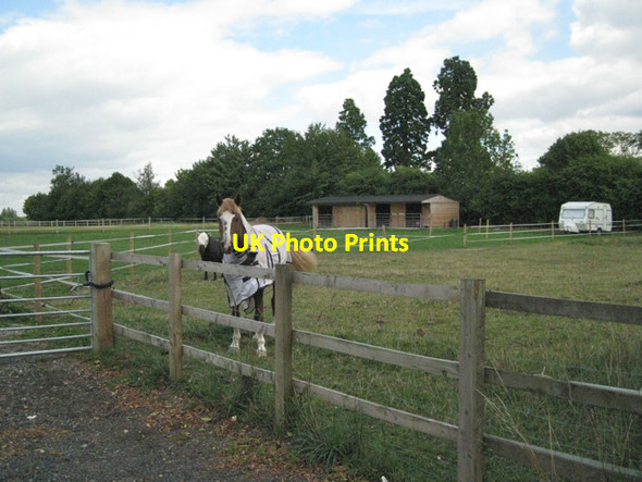 Photo 6"x4" Paddocks near The Elms Balsall Common c2010