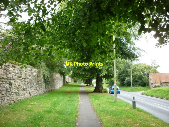 Photo 6"x4" Looking up High Beck Side Pickering\/SE7984 c2010