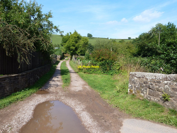 Photo 6"x4" Track beside Soudley Brook, Two Bridges, near Blakeney Brain's Green c2010