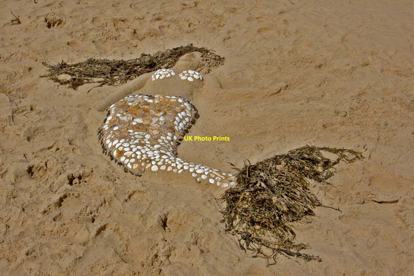 Photo 6"x4" A beached Mermaid Pen-l\u00f4n c2010
