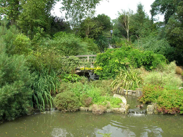 Photo 6"x4" Waterfalls, Queen Mary's Gardens Marylebone\/TQ2881 c2010
