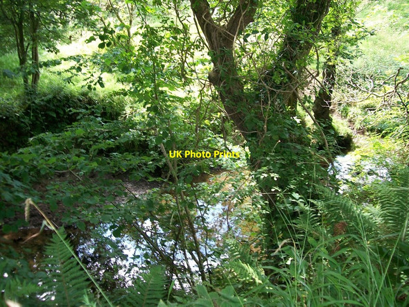 Photo 6"x4" Afon Fawr from Lon 'Reglwys Pen-y-graig\/SH2033 c2010